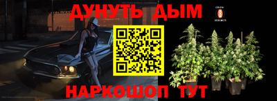 дмт Пушкино