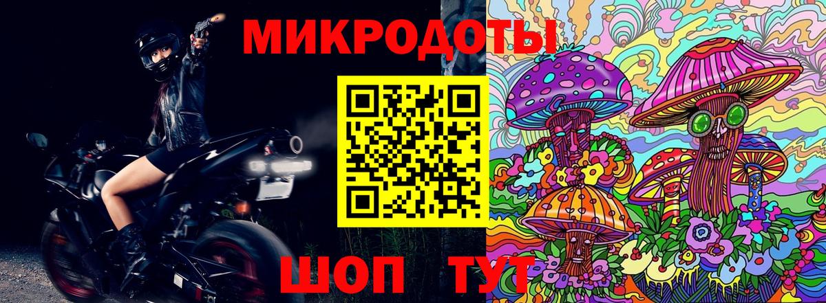 Псилоцибиновые грибы Psilocybe Сарапул